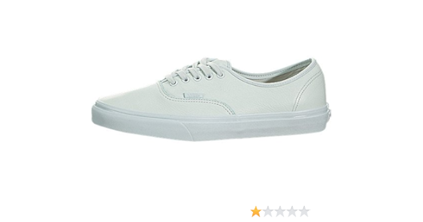 vans authentic ice flow
