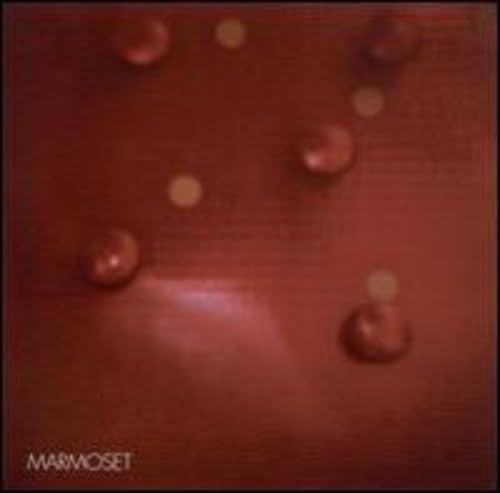 Amazon.com: 10th Year Anniversary: CDs & Vinyl