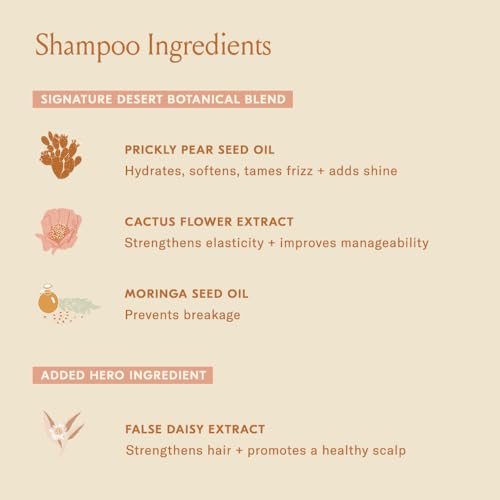 DAE Signature Shampoo - Cleanses & Hydrates Dry Hair & Scalp (10 oz.)