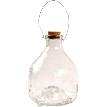 Amazon.com : Esschert Design USA EG15 Wasp Trap with Cast Iron Holder