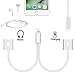 2 in 1 Adapter Audio Headphone Call & Audio