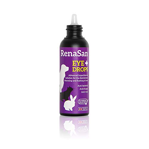RenaSan Antiseptic Eye Drops (60 ml) AlcoholFree, NonIrritating and