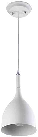 LeArc Designer Lighting : HL3775 : Single Metal Pendent