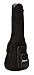 World Tour Deluxe 20mm Acoustic-Electric Bass Gig Bag