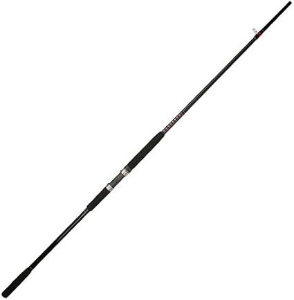 shakespeare ugly stik bigwater