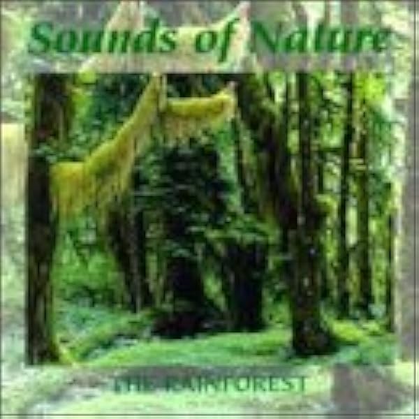 Amazon.com: Sounds Of The Tropical Rain Forest: CDs & Vinyl