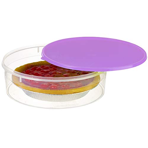 Zilpoo Plastic Pie Carrier with Lid, 10.5”, Cupcake Container, Muffin