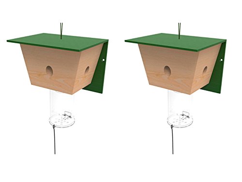 Best Bee Brothers Carpenter Bee Trap - 2 pack