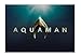 Rubies Aquaman Movie Toddler Aquaman Costume