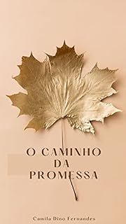 Livro O CAMINHO DA PROMESSA