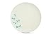 Aquaterra Living Bamboo Dinner Plate Set with Dragonfly Designs- Set of 6, 10