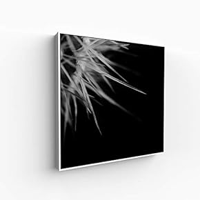 for Living Room Bedroom Monochrome Image Framed for