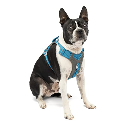 active dog harness