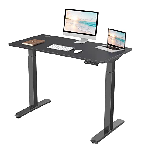 EUREKA ERGONOMIC Standing Desk Dual Motors, 48 x 24 Inches Electric