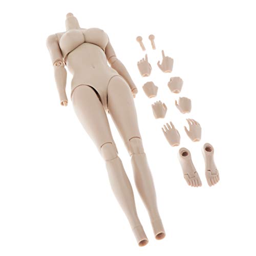 12 inch Female Action Figure Doll with Accessories Kuwait Ubuy