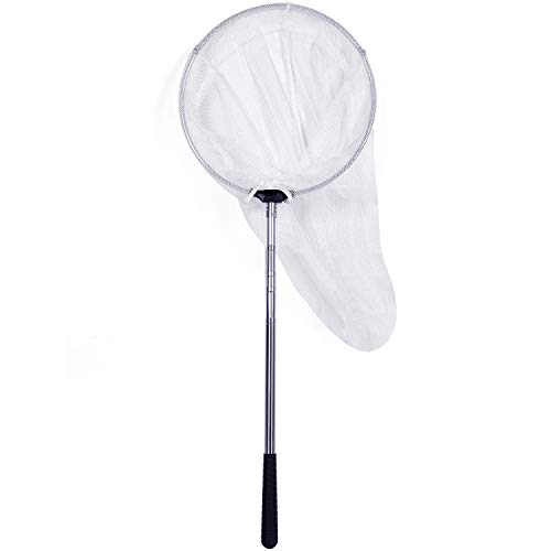 Latocos Insect and Butterfly Net with 12" Ring, Handle Extends to 59 Inches
