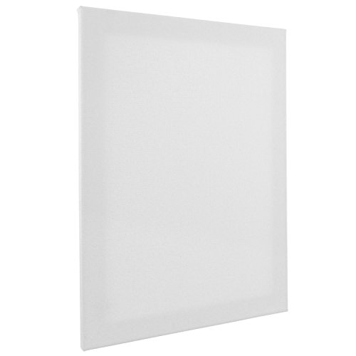 US Art Supply 16 x 20 inch Super Value Quality Acid Free Stretched Canvas 5-Pack - 3/4 Profile Primed Gesso (1-Super Value Pack of 5 Canvases)