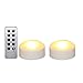 iZAN Halloween Battery Operated LED Pumpkin Lights with Remote and Timer, Bright Flickering Flameless Candles for Pumpkin Decor, Jack-O-Lantern Halloween Party Home Decorations, White Color, 2 Pack