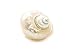 Hermit Crab Shells | Turbo Shells | White Pearl Jade Green Turbo Shell 3