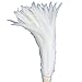 Sowder Pure White Rooster Coque Tail Feathers 13-16inch Lengh Pack of 50