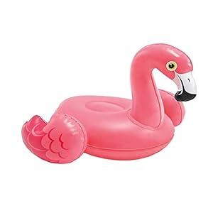 Intex Puff and Play Water Toys, Multi Color (Any one toy)