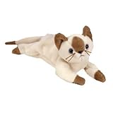 TY Beanie Baby - SNIP the Cat