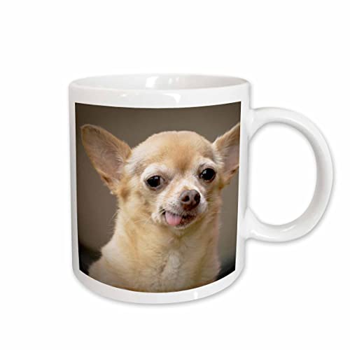 3dRose Toothless Chihuahua Dog, Santa Fe, New Mexico, Ceramic Mug, 11-Oz