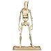 Star Wars 2012 Saga Movie Legends Action Figure Battle Droid