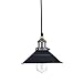 Ecopower Industrial Edison Mini Metal Pendant Lighting 1 Light