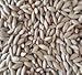 Canary Seed Organic 4.5 lb