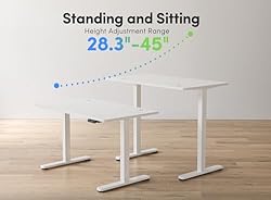 FEZIBO Height Adjustable Electric Standing Desk, 48