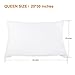 Boomile Queen Size Pillowcases, 100% Brushed Microfiber Ultra Soft Pillow Cases Set, Envelope Closure, Wrinkle Free, Fade, Stain Resistant Allergy Protection Pillow Protector (Set of 2, White)