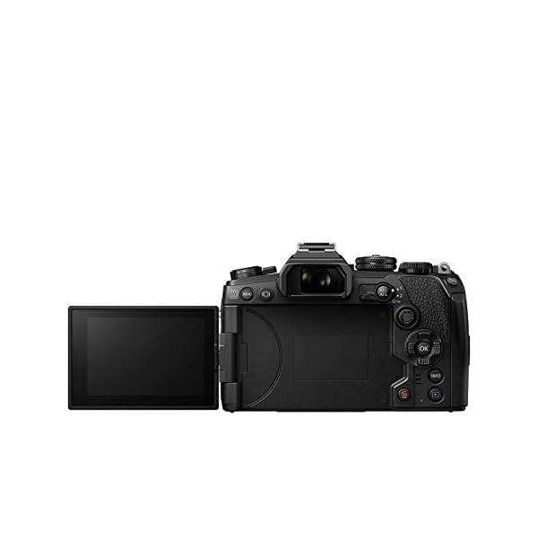 Olympus OM-D E-M1 Mark III Micro Four Thirds Systemkamera Gehäuse, 20 MP Sensor, 5-Achsen Bildstabilisierung, Leistungsstarker Autofokus, 4K Video, Wi-Fi, Bluetooth, Schwarz – Bild 3