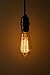 Edison Bulb Pack of 4 by Brillante - 360 Lumen / 60W Clear Glass Light Bulbs with Antique/Vintage Thomas Edison Style Filament - for Pendant Lighting, Lamps & String Lights