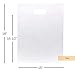 ClearBags LDPE Handle Merchandise Bags with Die Cut Handles | 100 Quantity | Size: 15