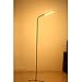 YLISAE NRAE 6 Feet 12 Level LED Remote and touch control Adjustable Floor lamp