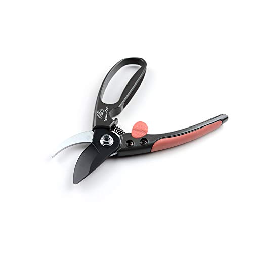 Rainbow Craft 8'' Bypass Pruner Shear, Rose Cutters, Herbs Scissors, Plant Trimming Shears for Garden&Lawn - Pink Color
