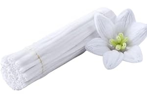 RSACCSKY 100 Pieces Pipe Cleaners Chenille Stem, Solid White Color Pipe Cleaners Set for Pipe Cleaners DIY Arts Crafts Decorations, Chenille Stems Pipe Cleaners (White)