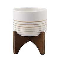 Flora Bunda Mid Century 4.75 inch Ceramic Planter on Wood Stand Great for Succulent Desktop White/Gold Line