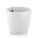 Lechuza 13170 Classico Color 21 Self Watering, 9x8