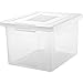 STAPLES 480548 Letter/Legal File Box Clear (140050)
