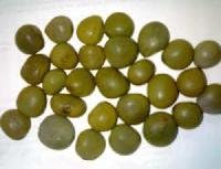LATA KARANJA-KALARZIKAI-CAESALPINIA CHRISTA/BONDUC SEED-25 GM (12 SEEDS)