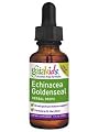 Gaia Herbs - Kids Echinacea/Goldenseal Drops 1 fl oz [Health and Beauty]