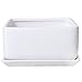 MyGift Modern White Ceramic Square Indoor Small Planter, Flower Succulent Plant Pot with Drainage Hole and Removable Drip Tray