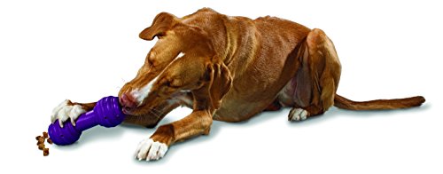PetSafe Busy Buddy Chuckle Dog Toy, Medium/Large