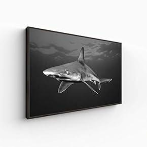 Canvas Wall Art for Living Room, Bedroom Animal Portrait Framed Canvas Prints for Home Decoration Ready to Hang - 16x24 inches