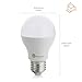 TaoTronics LED Light Bulbs 60 Watt Equivalent, A19 LED Bulbs, Daylight, 5000K, E26 Socket, Not Dimmable - Pack of 6