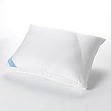 Sealy Posturepedic Posture Fit Back Sleeper Pillow