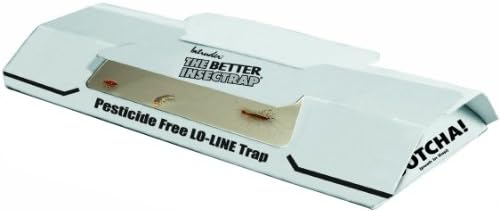 Intruder 21000 The Better Insectrap, 4-Pack