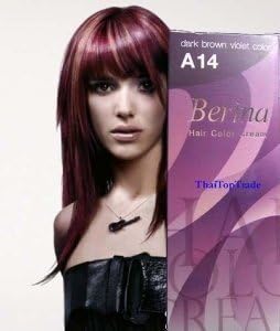 Amazoncom Berina Permanente Tinte De Pelo Crema A14 Café